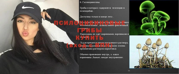каннабис Алексеевка
