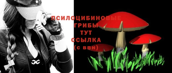 экстази Абаза